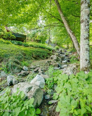 104 Maple Brook Lane, Roan Mountain, TN 37687