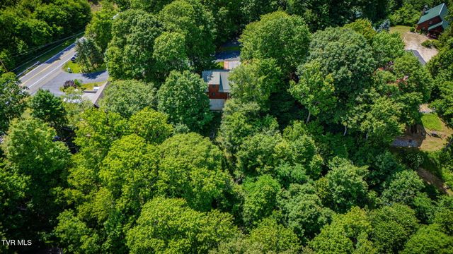 104 Maple Brook Lane, Roan Mountain, TN 37687