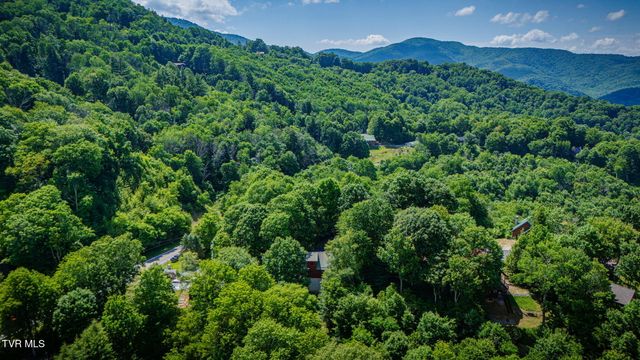 104 Maple Brook Lane, Roan Mountain, TN 37687