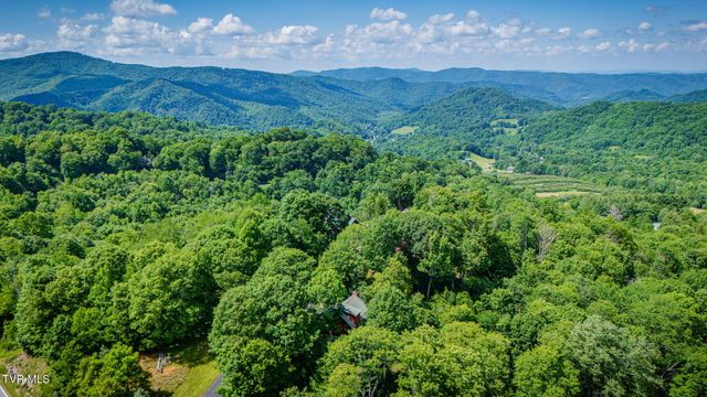 104 Maple Brook Lane, Roan Mountain, TN 37687