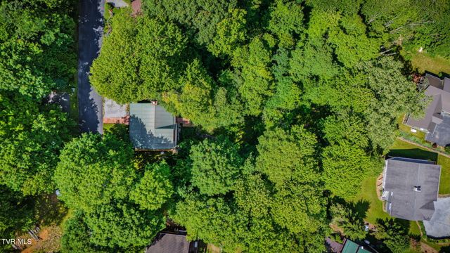 104 Maple Brook Lane, Roan Mountain, TN 37687