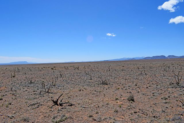 Lot 11 Prong Horn Road, San Antonio, NM 87832