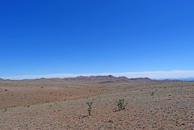 Lot 11 Prong Horn Road, San Antonio, NM 87832