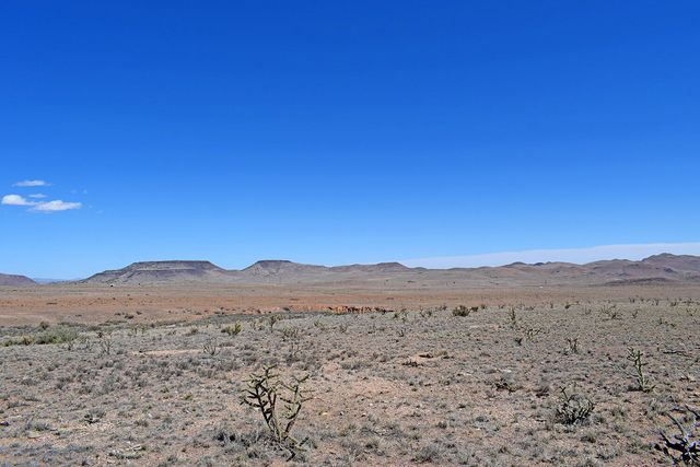 Lot 11 Prong Horn Road, San Antonio, NM 87832