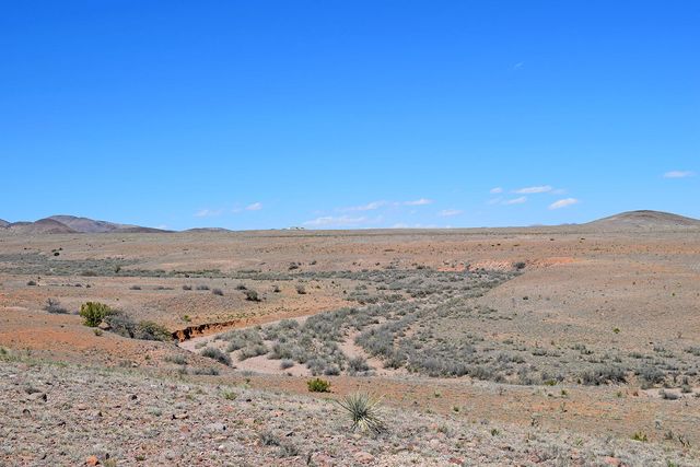 Lot 11 Prong Horn Road, San Antonio, NM 87832