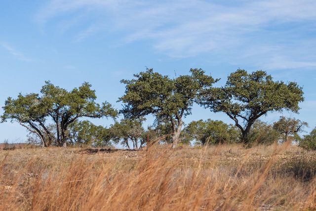 TBD - 20 Pump Station RD, Wimberley, TX 78676