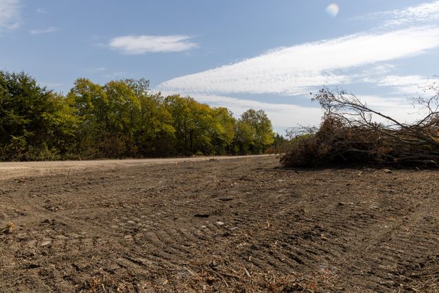 Tract 6 County Road 2935, Dodd City, TX 75438