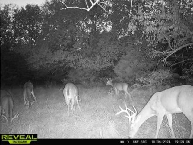 Tract 6 County Road 2935, Dodd City, TX 75438