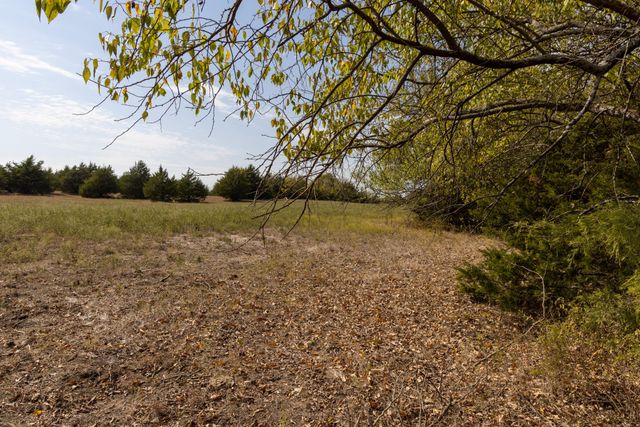 Tract 6 County Road 2935, Dodd City, TX 75438