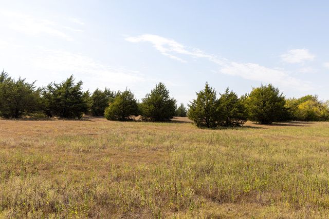 Tract 6 County Road 2935, Dodd City, TX 75438