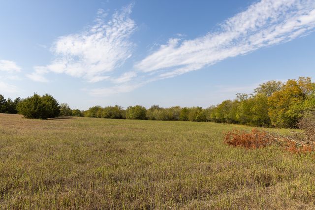 Tract 6 County Road 2935, Dodd City, TX 75438