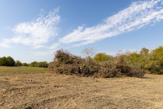 Tract 6 County Road 2935, Dodd City, TX 75438