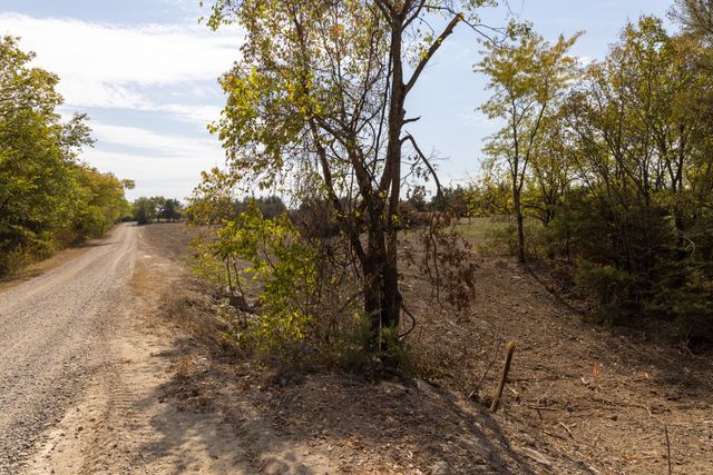 Tract 6 County Road 2935, Dodd City, TX 75438