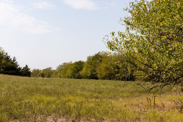 Tract 6 County Road 2935, Dodd City, TX 75438