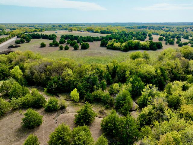 Tract 6 County Road 2935, Dodd City, TX 75438