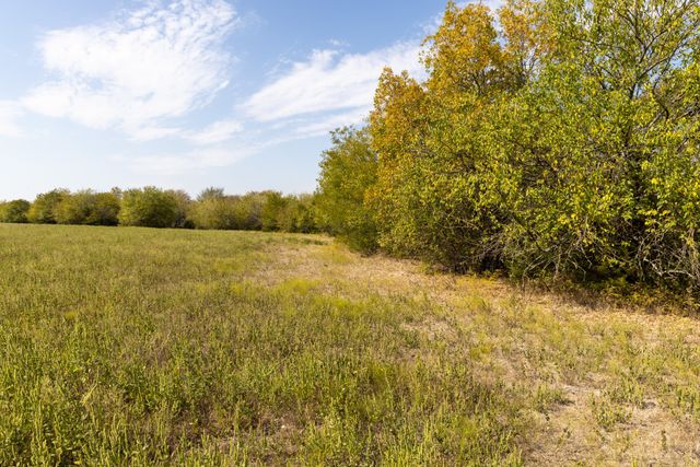 Tract 6 County Road 2935, Dodd City, TX 75438