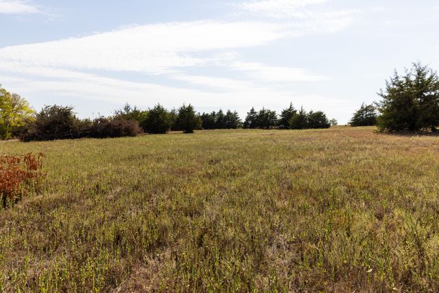 Tract 6 County Road 2935, Dodd City, TX 75438