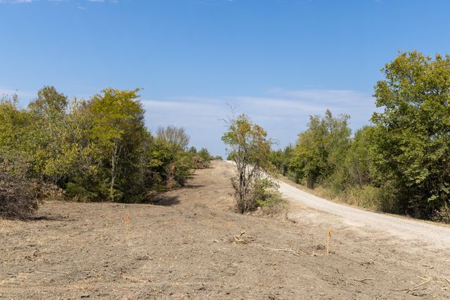 Tract 6 County Road 2935, Dodd City, TX 75438