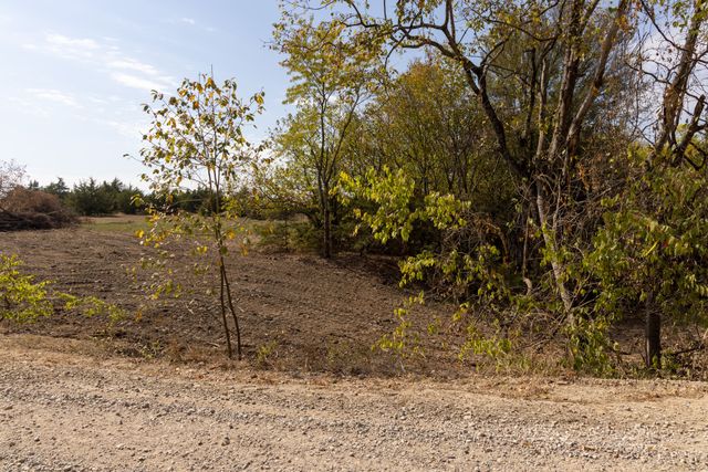 Tract 6 County Road 2935, Dodd City, TX 75438