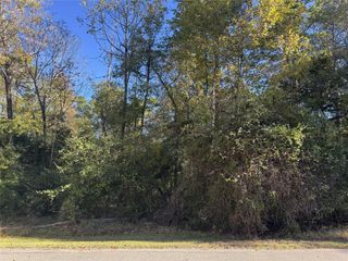 54 N Fairway Loop, Coldspring, TX 77331