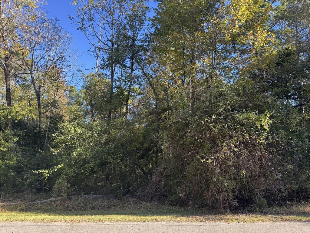 54 N Fairway Loop, Coldspring, TX 77331