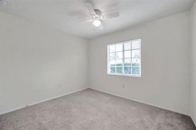 1408 BIRCHSTONE AVENUE, Brandon, FL 33511