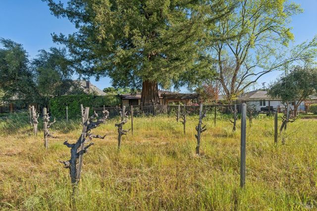 1143 Hudson Ave, St. Helena, CA 94574