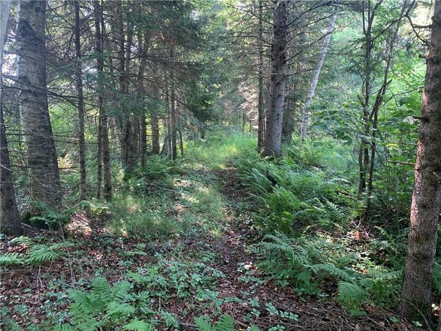 17564 Forest Road 1285, Glidden, WI 54527