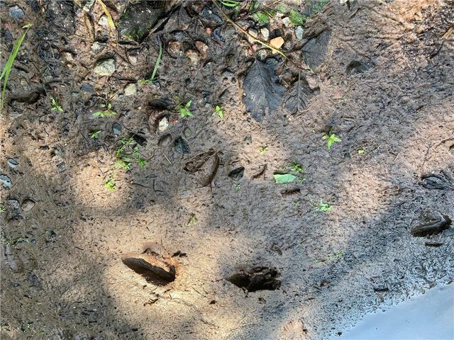 17564 Forest Road 1285, Glidden, WI 54527