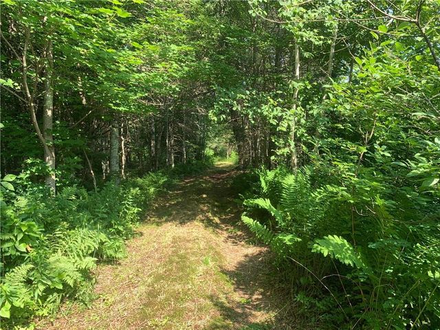 17564 Forest Road 1285, Glidden, WI 54527