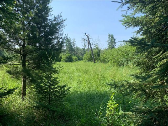 17564 Forest Road 1285, Glidden, WI 54527