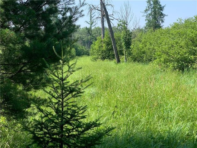 17564 Forest Road 1285, Glidden, WI 54527