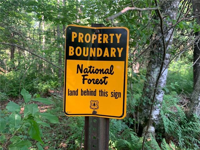 17564 Forest Road 1285, Glidden, WI 54527