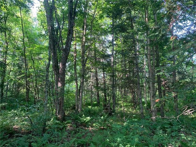 17564 Forest Road 1285, Glidden, WI 54527