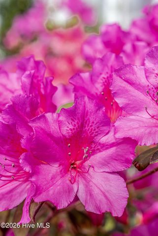 8315 Slippery Elm Court, Winnabow, NC 28479