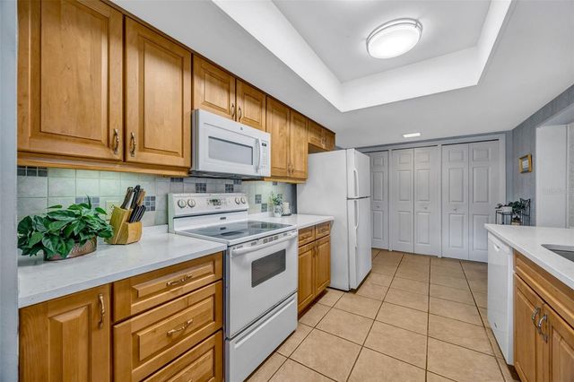 1011 MEADOWCREST DRIVE, Valrico, FL 33594