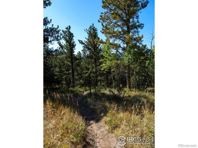 20 Ridge View Road, Nederland, CO 80466