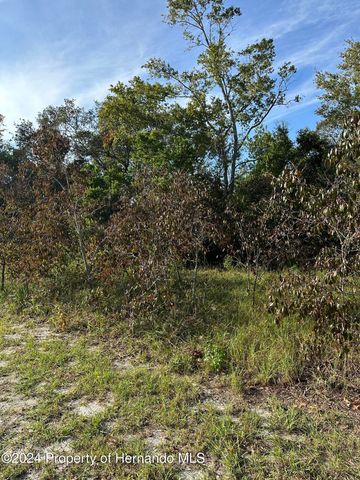 000 Sylvia Avenue, Spring Hill, FL 34606