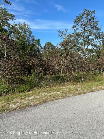 000 Sylvia Avenue, Spring Hill, FL 34606