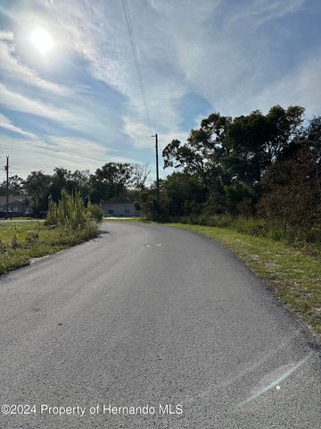 000 Sylvia Avenue, Spring Hill, FL 34606