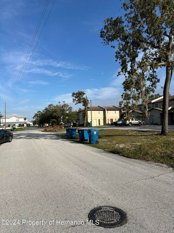 000 Sylvia Avenue, Spring Hill, FL 34606