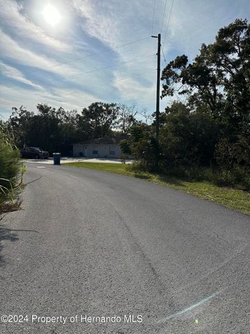 000 Sylvia Avenue, Spring Hill, FL 34606