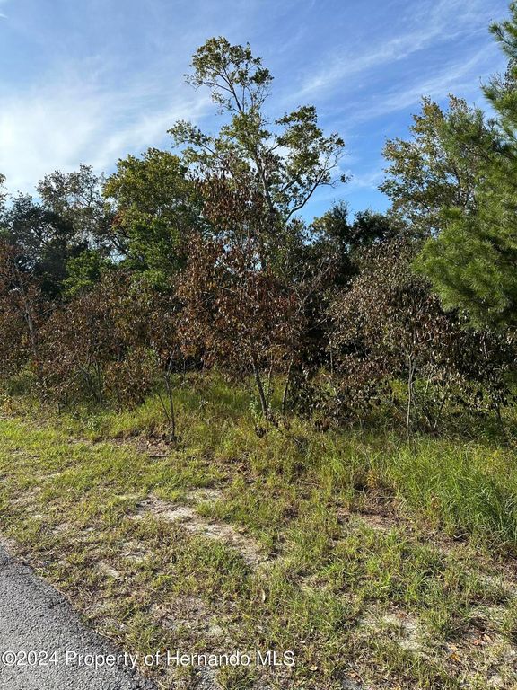 000 Sylvia Avenue, Spring Hill, FL 34606