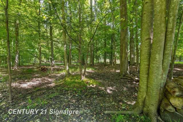 8201 Moll Lane, Tittabawassee Twp, MI 48623