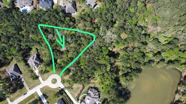 9579 Longmire Oaks Drive, Conroe, TX 77304