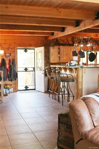 218 N Quarter Horse, Como, CO 80456