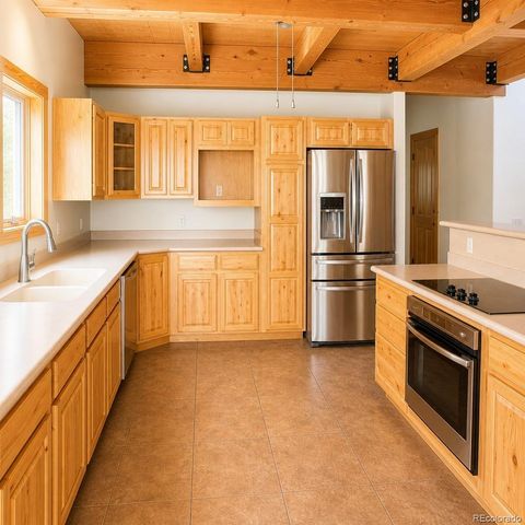 218 N Quarter Horse, Como, CO 80456