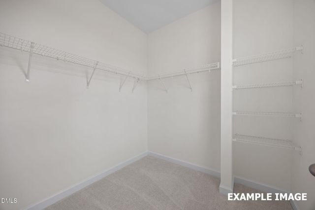 809 Carpet Grass Avenue, Knightdale, NC 27545
