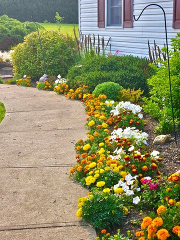 3401 Whitetail Drive W, Lexington, OH 44904