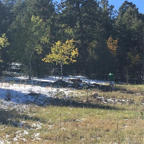 14745 Wetterhorn Peak Trail, Pine, CO 80470